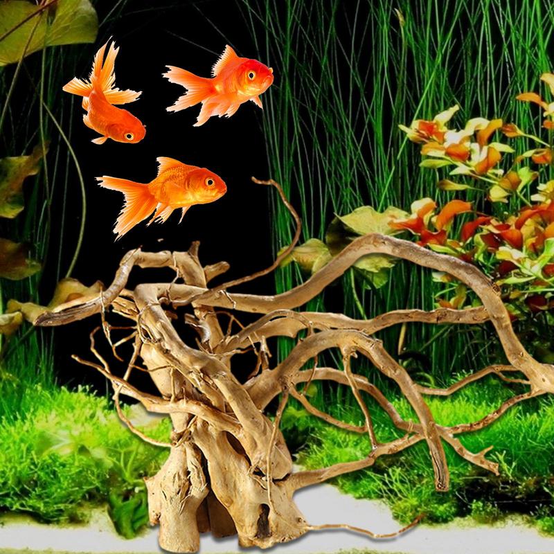 Aquarium Fish Diseases - Tree Trunk Micro Landscape Reptile Cylinder
