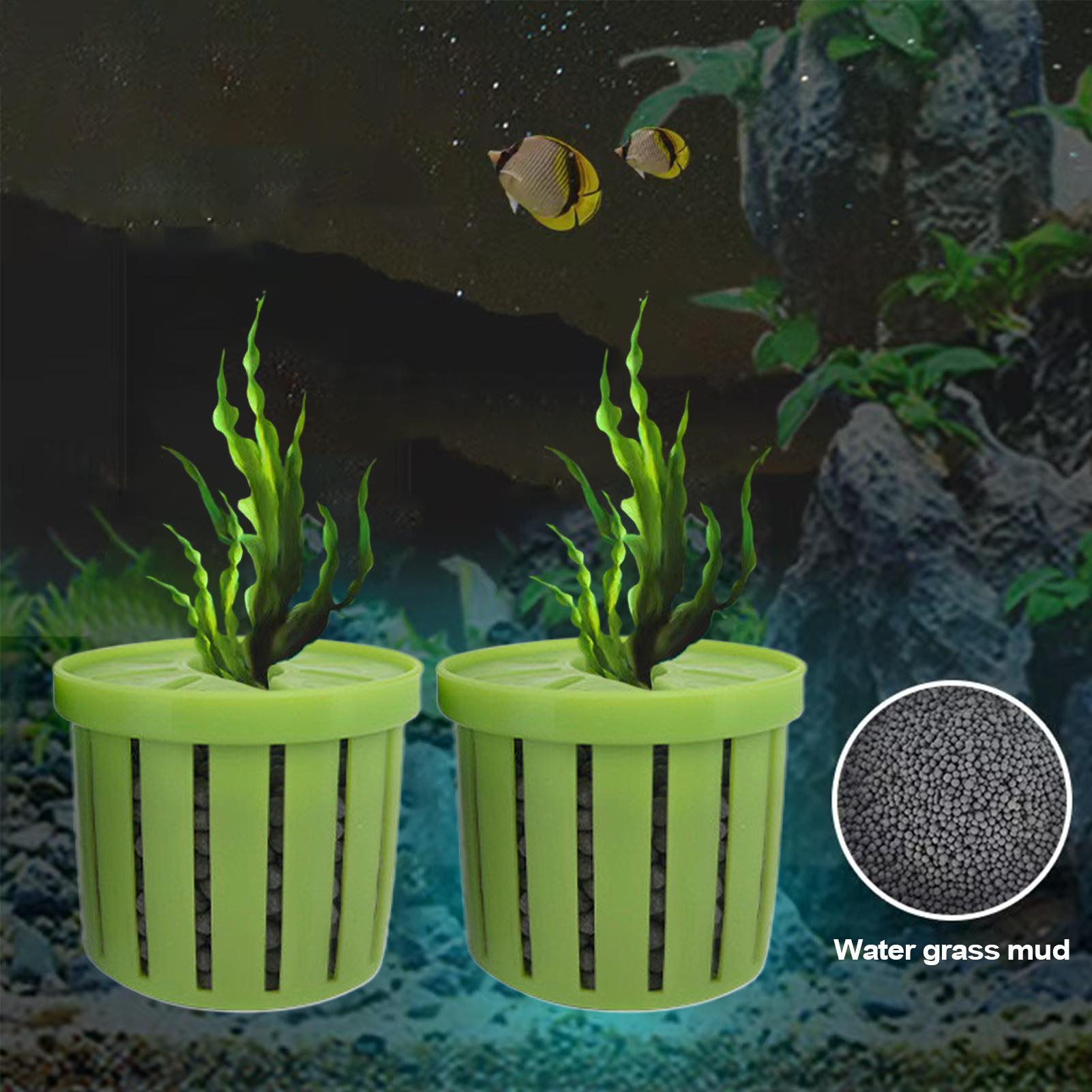 Stable Fish Tank Plant Cup 4pc – обзор и цена Aquarium Fish Restaurant