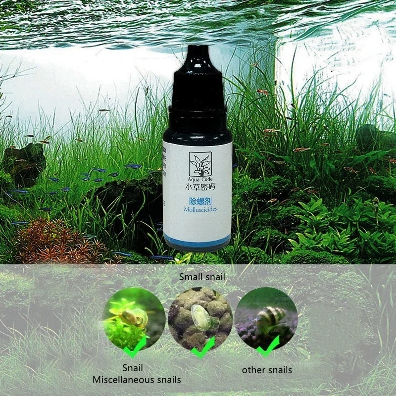 10ml Planaria Worm Killer Fung – обзор и цена Aquarium Fish Diseases