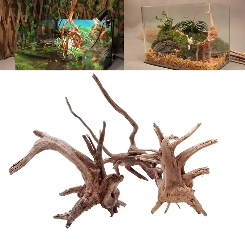 Natural Tree Trunk Driftwood A – обзор и цена Aquarium Fish Diseases
