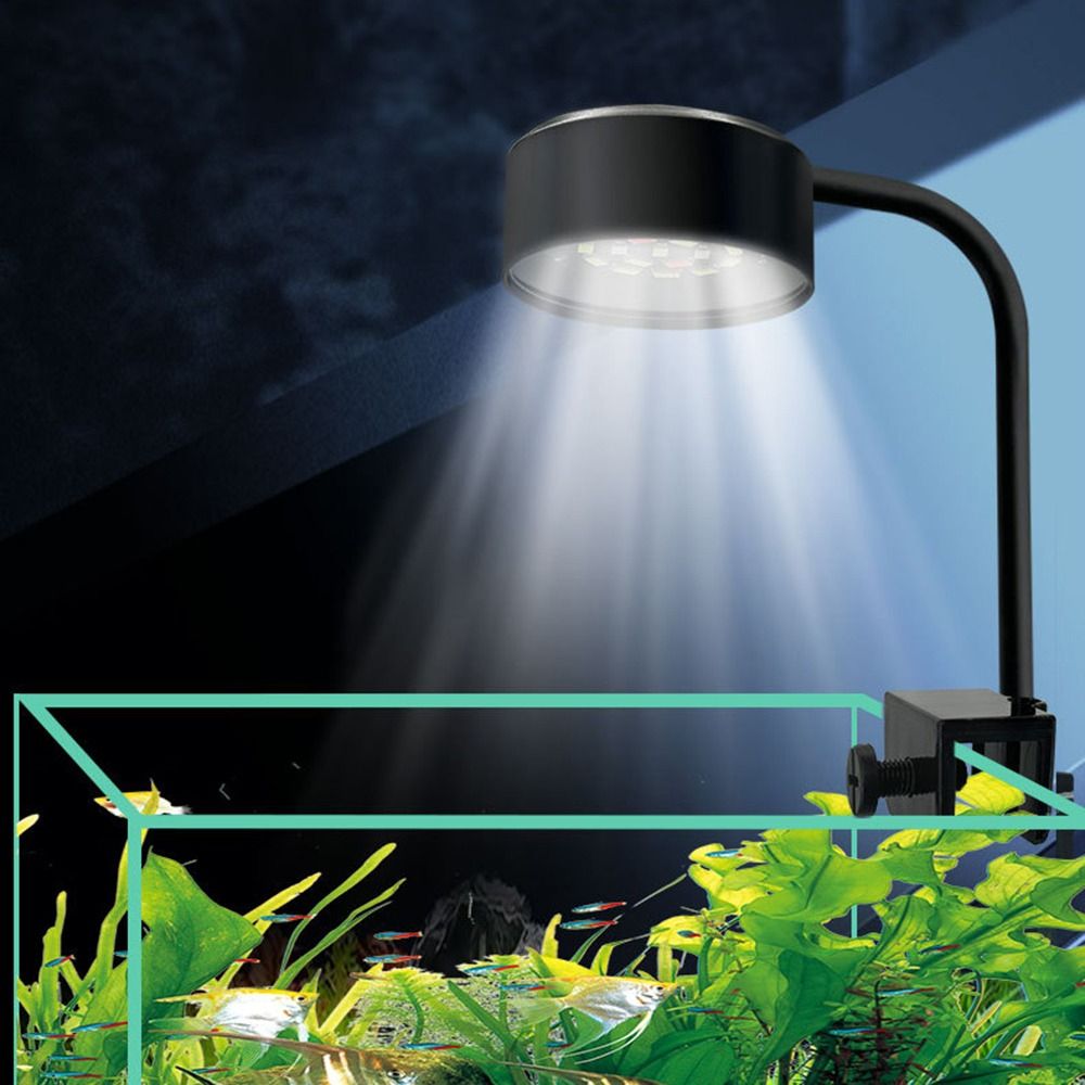 3 Color Modes Mini Clip-on Aqu – обзор и цена Aquarium Fish Light Lamp