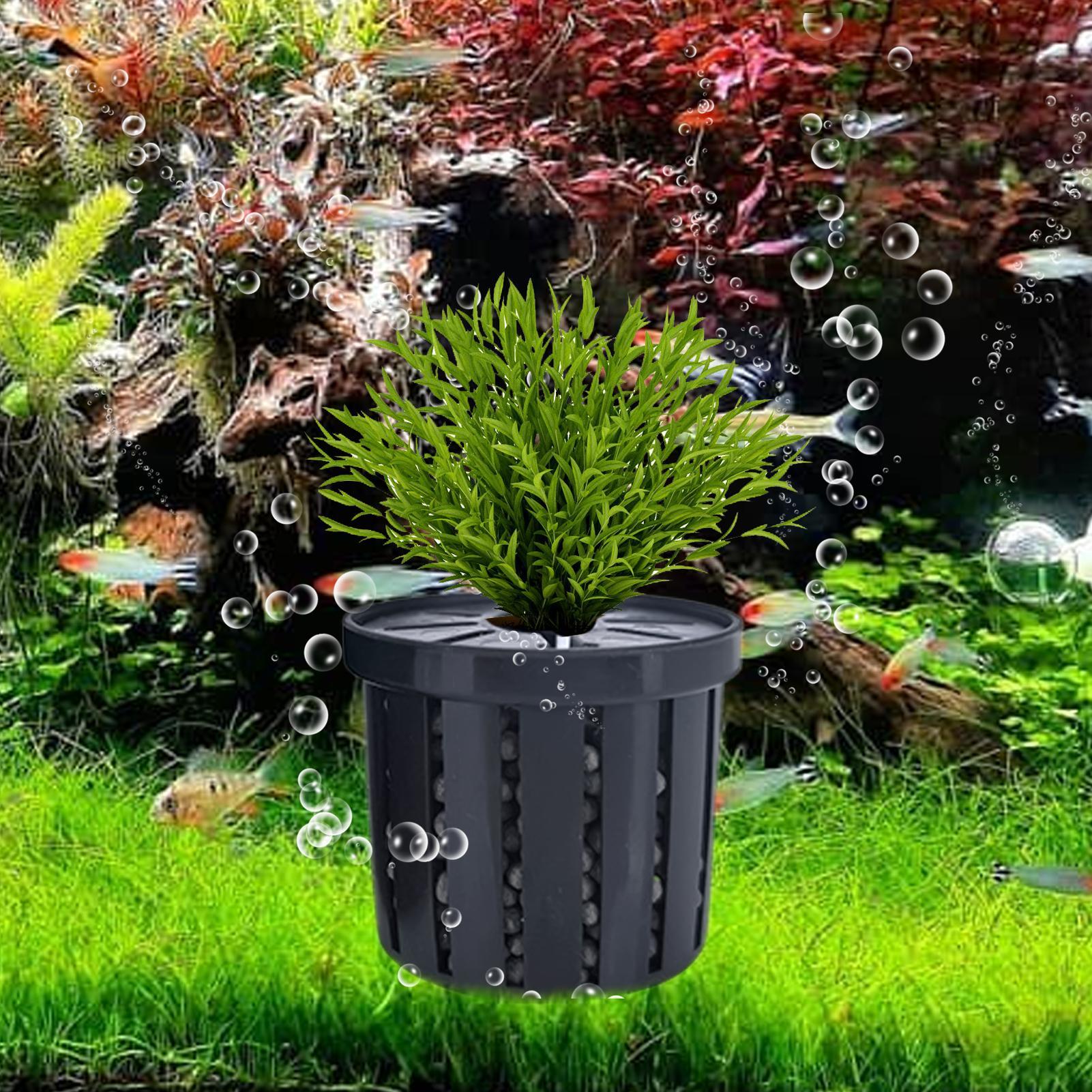 4pcs Aquarium Plant Holder Bas – обзор и цена Aquarium Fish Restaurant