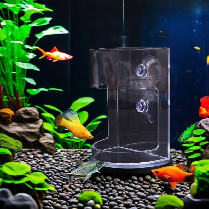 Popular 1/3/5Pcs Floating Food – обзор и цена Aquarium Fish Popular