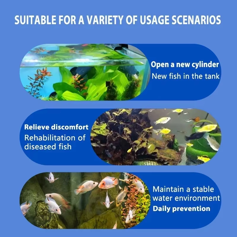 SIKEZHAN Fish Disease Treatmen – обзор и цена Aquarium Fish Quality