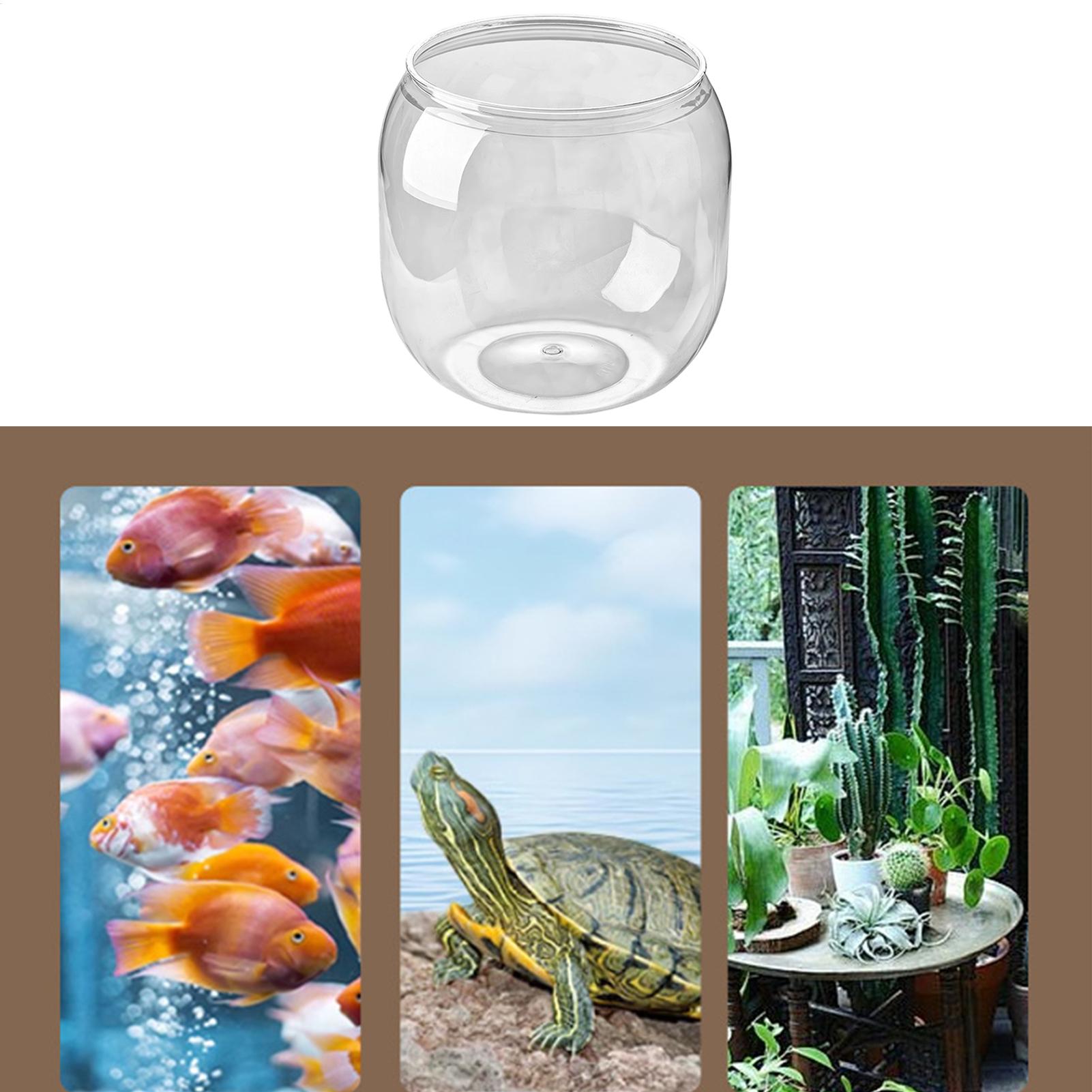Fish Bowl Decorative Clear Aqu – обзор и цена Aquarium Fish Restaurant