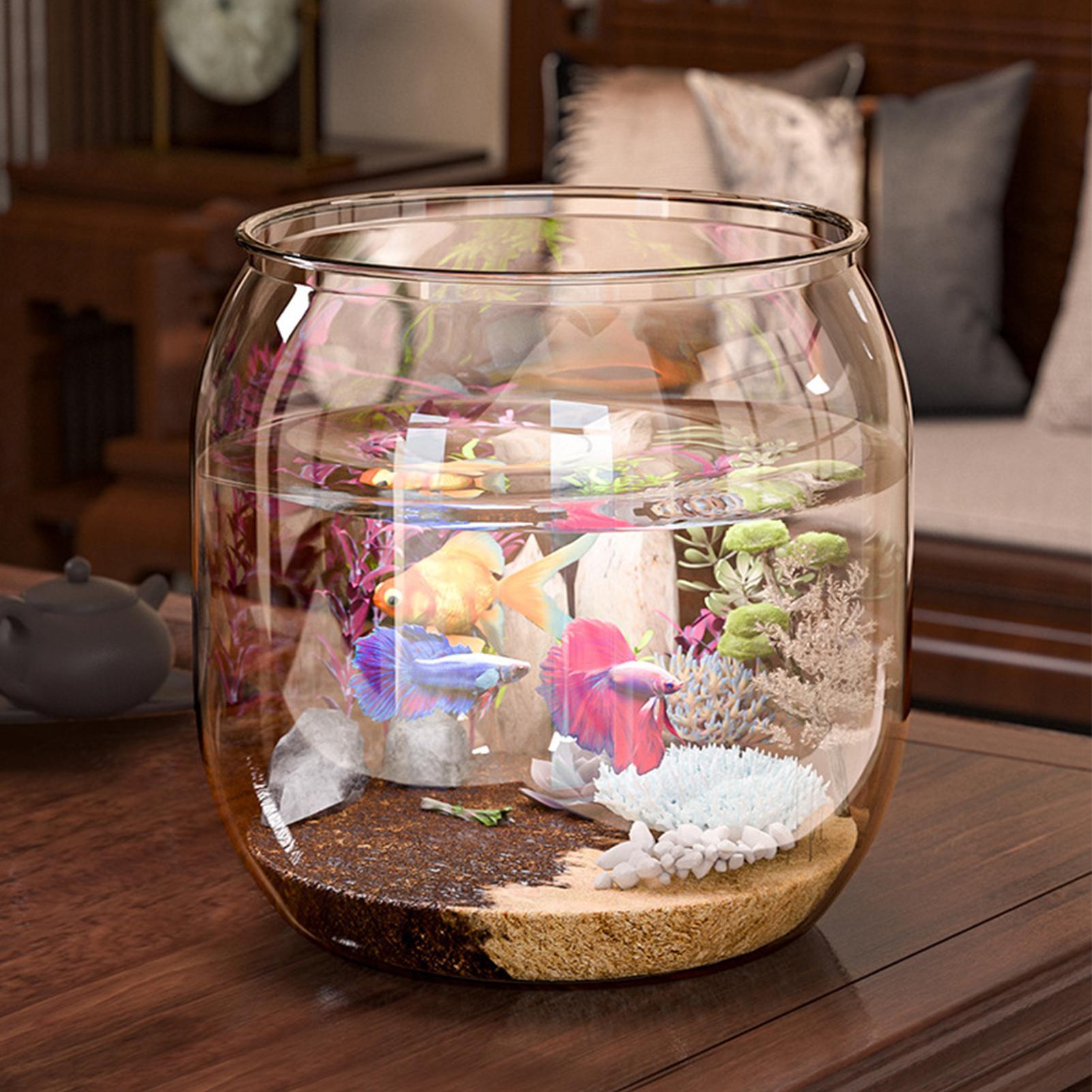 Mini Fish Bowl Decorative Clea – обзор и цена Aquarium Fish Restaurant