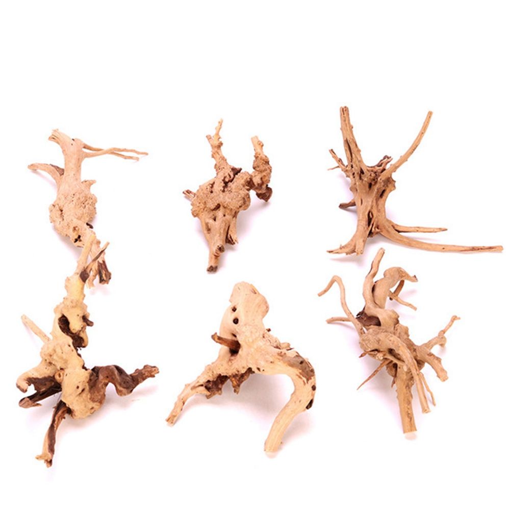 1 Pcs Wood Reptile Fish Tank O – обзор и цена Aquarium Fish Diseases