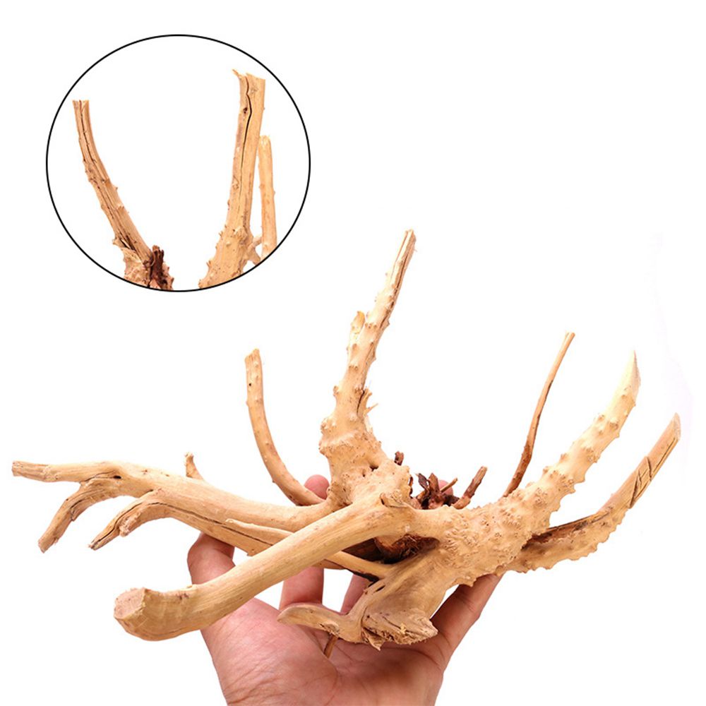 1 Pcs Wood Reptile Fish Tank O – обзор и цена Aquarium Fish Diseases