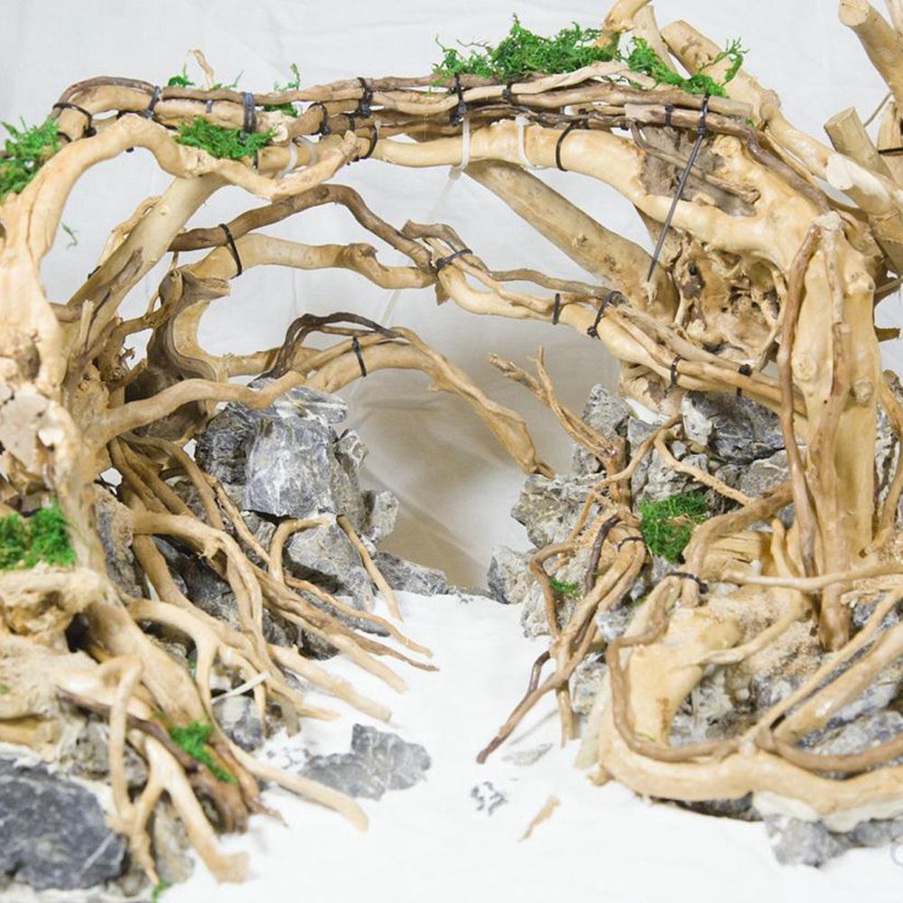 1 Pcs Wood Reptile Fish Tank O – обзор и цена Aquarium Fish Diseases