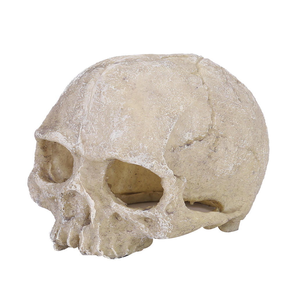 Resin Simulated Head Bone Skul – обзор и цена Aquarium Fish Hide