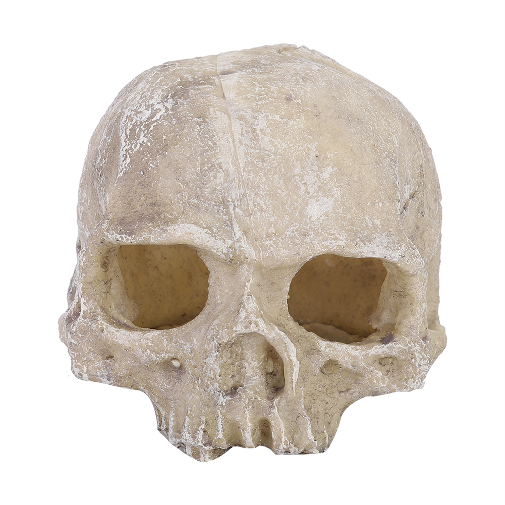 Resin Simulated Head Bone Skul – обзор и цена Aquarium Fish Hide