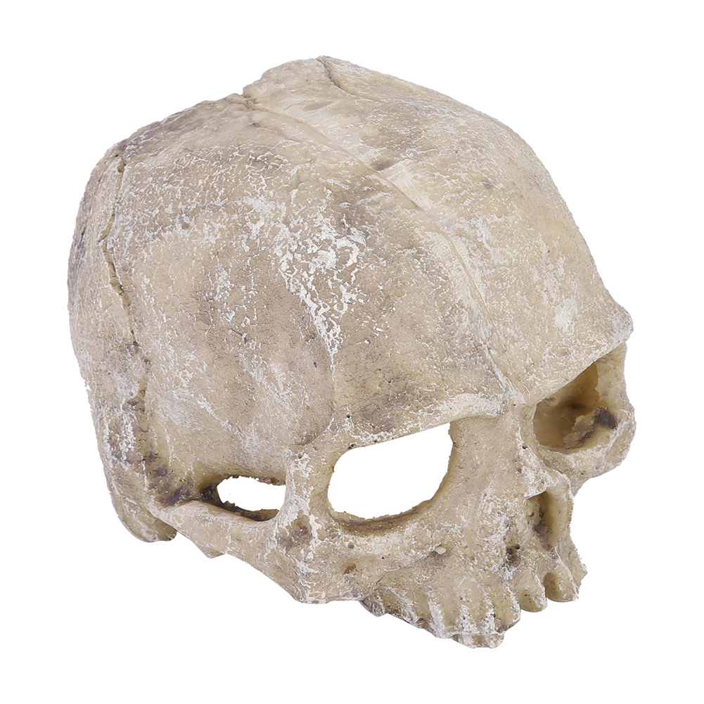 Resin Simulated Head Bone Skul – обзор и цена Aquarium Fish Hide