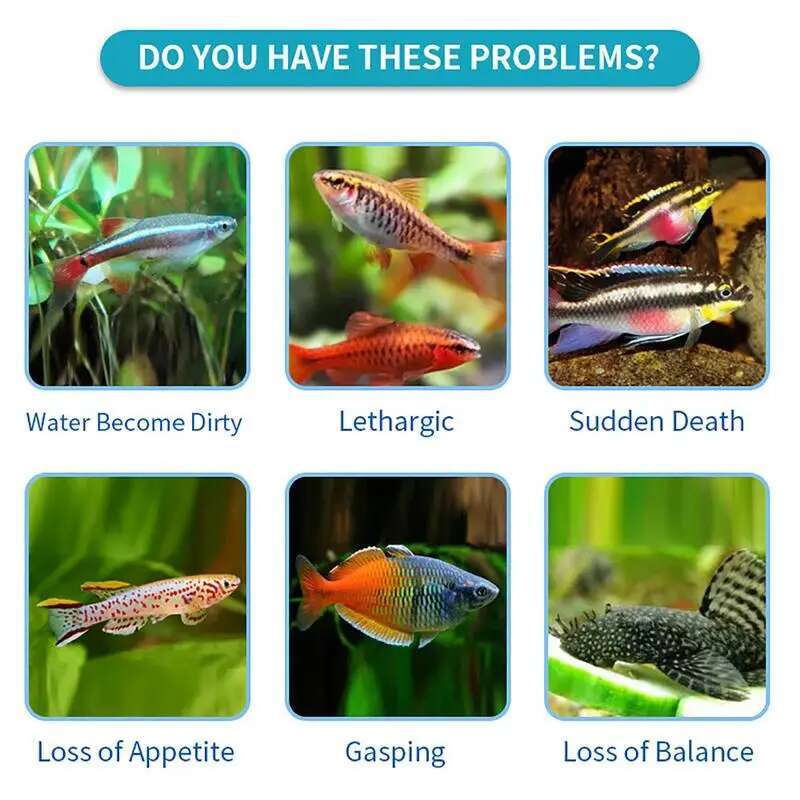 100pcs Nitrite Nitrate Chlorin – обзор и цена Aquarium Fish Quality