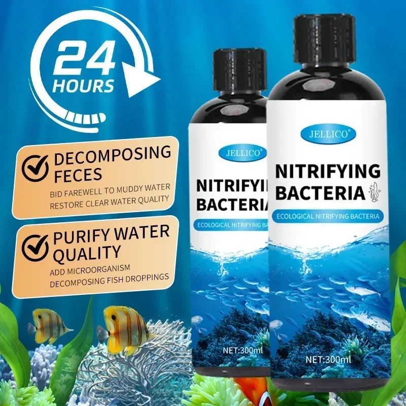 Nitrifying Bacteria Liquid Fis – обзор и цена Aquarium Fish Diseases
