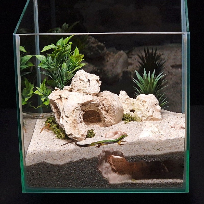 3DPrinted Fish Tank Tunnel She – обзор и цена Aquarium Fish Hide