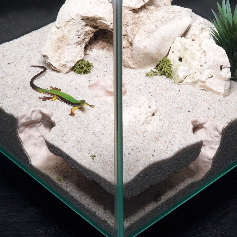 3DPrinted Fish Tank Tunnel She – обзор и цена Aquarium Fish Hide