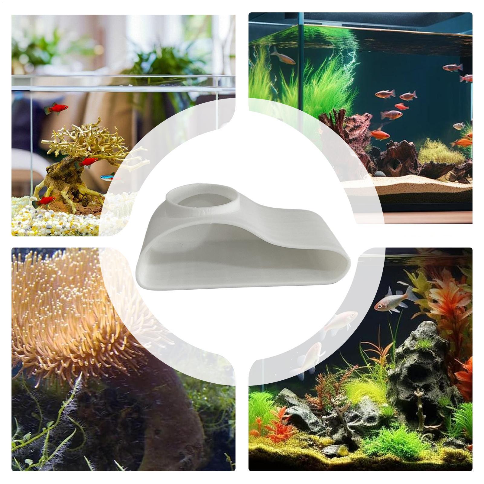 Aquarium Underground Tunnel Ca – обзор и цена Aquarium Fish Restaurant