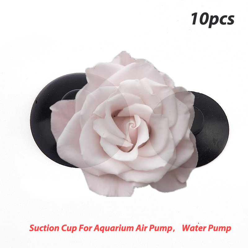 Popular 10Pcs Aquarium Fish Ta – обзор и цена Aquarium Fish Popular