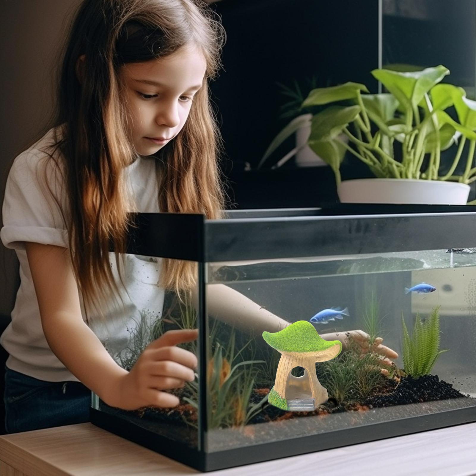 Aquarium Statue Under Water Sc – обзор и цена Aquarium Fish Restaurant