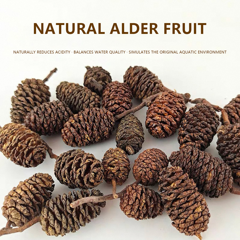 20pcs/lot Alder Cones Anti-Bac – обзор и цена Aquarium Fish Diseases