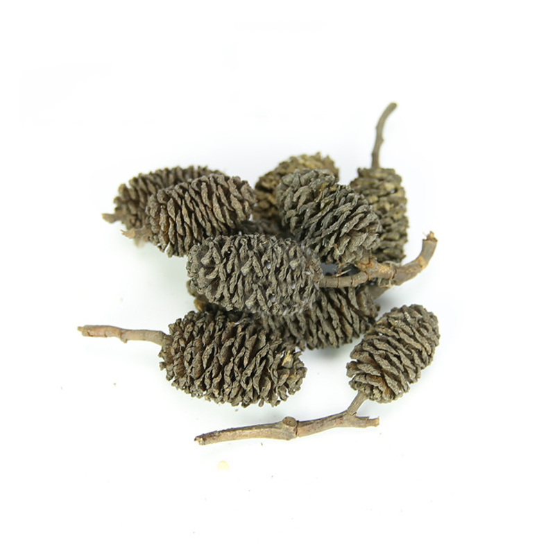 20pcs/lot Alder Cones Anti-Bac – обзор и цена Aquarium Fish Diseases