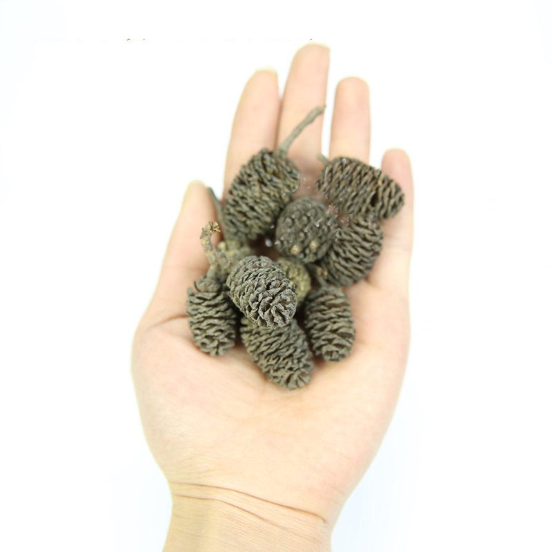 20pcs/lot Alder Cones Anti-Bac – обзор и цена Aquarium Fish Diseases