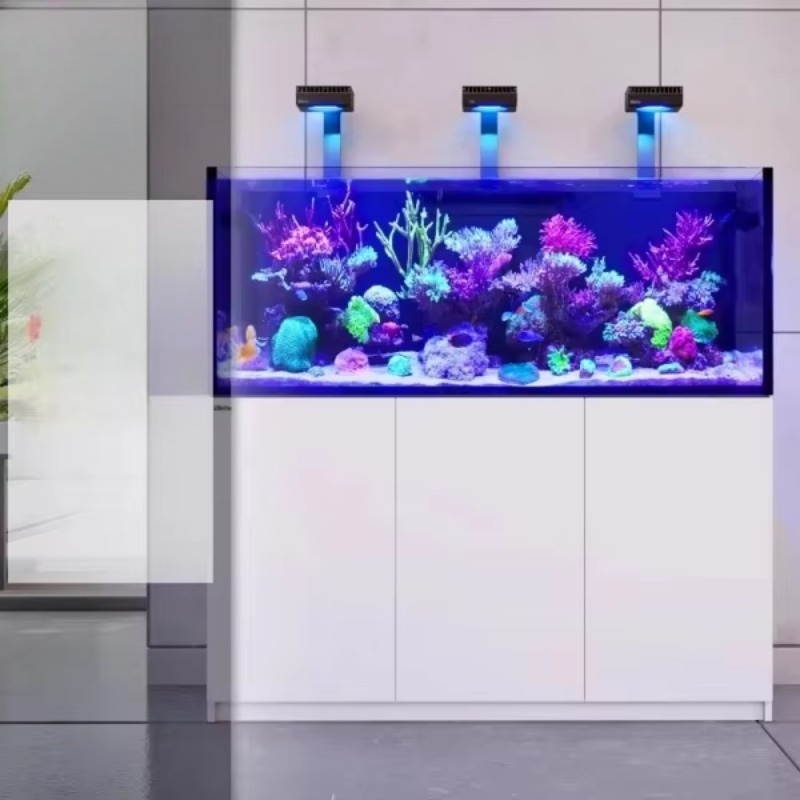 Modern luxury glass refrigerat – обзор и цена Aquarium Fish Restaurant