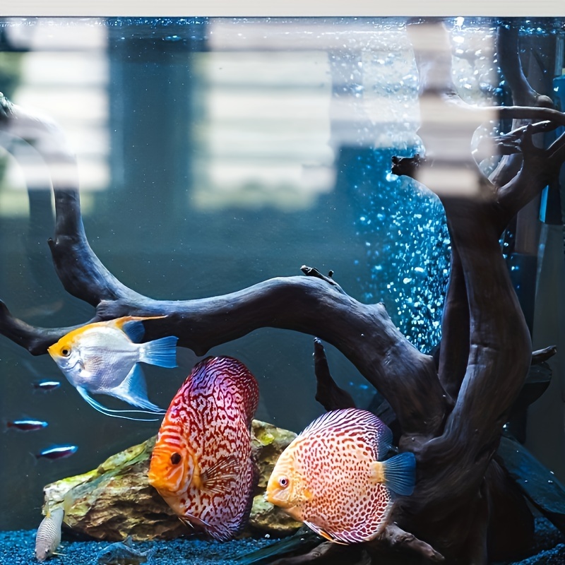 Tree Trunk Micro Landscape Rep – обзор и цена Aquarium Fish Diseases