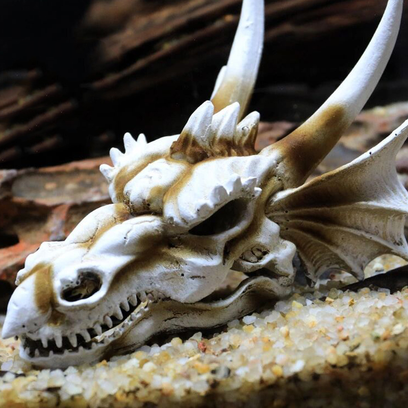 Aquarium Fish Tank Dinosaur He – обзор и цена Aquarium Fish Popular