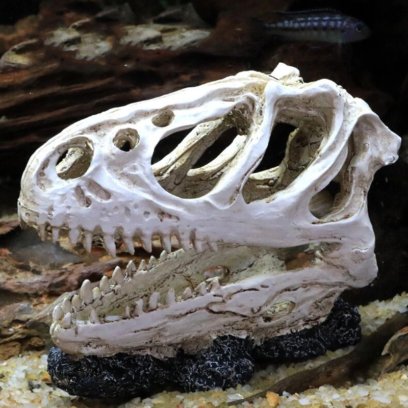 Aquarium Fish Tank Dinosaur He – обзор и цена Aquarium Fish Popular