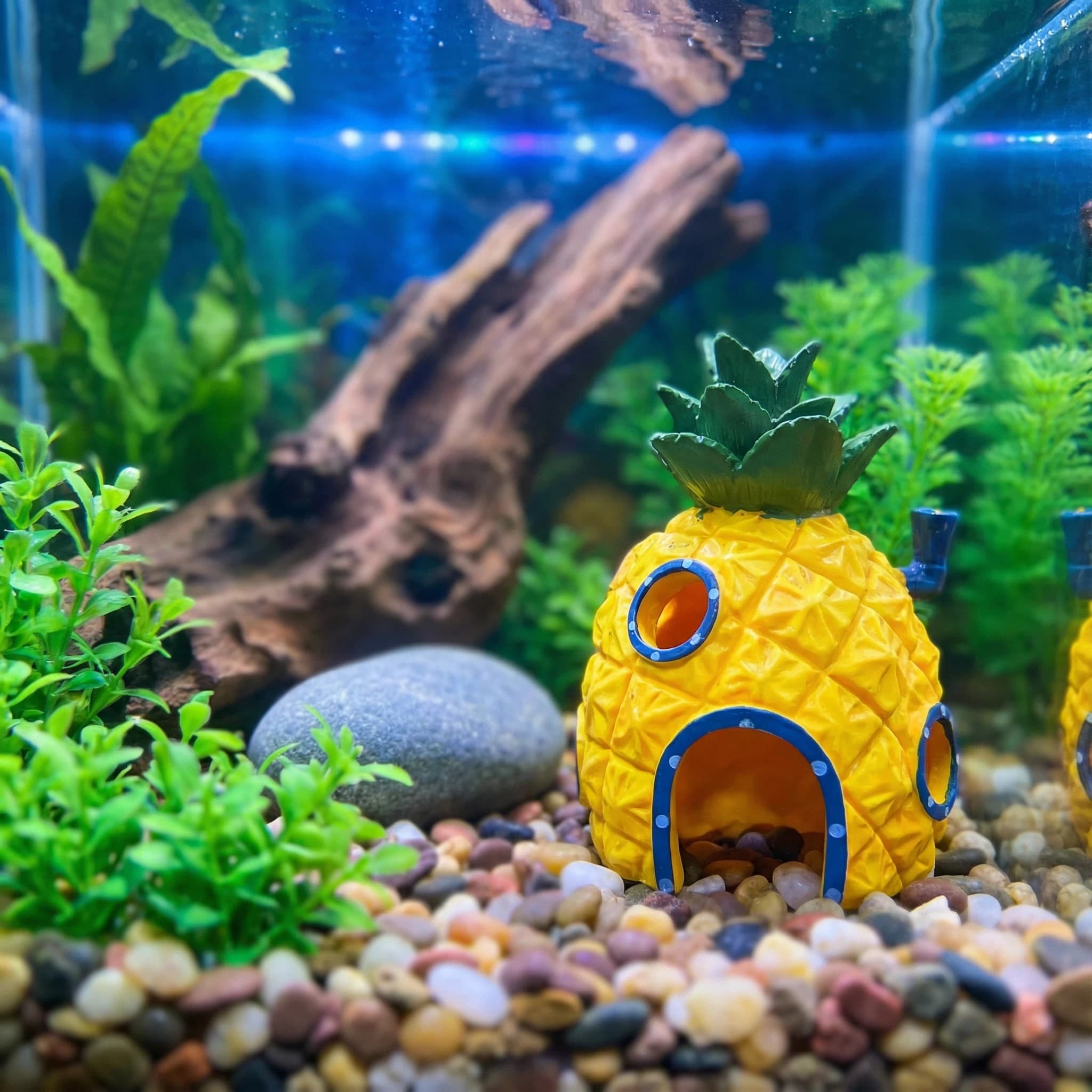 Pineapple House Aquarium Decor – обзор и цена Aquarium Fish Hide