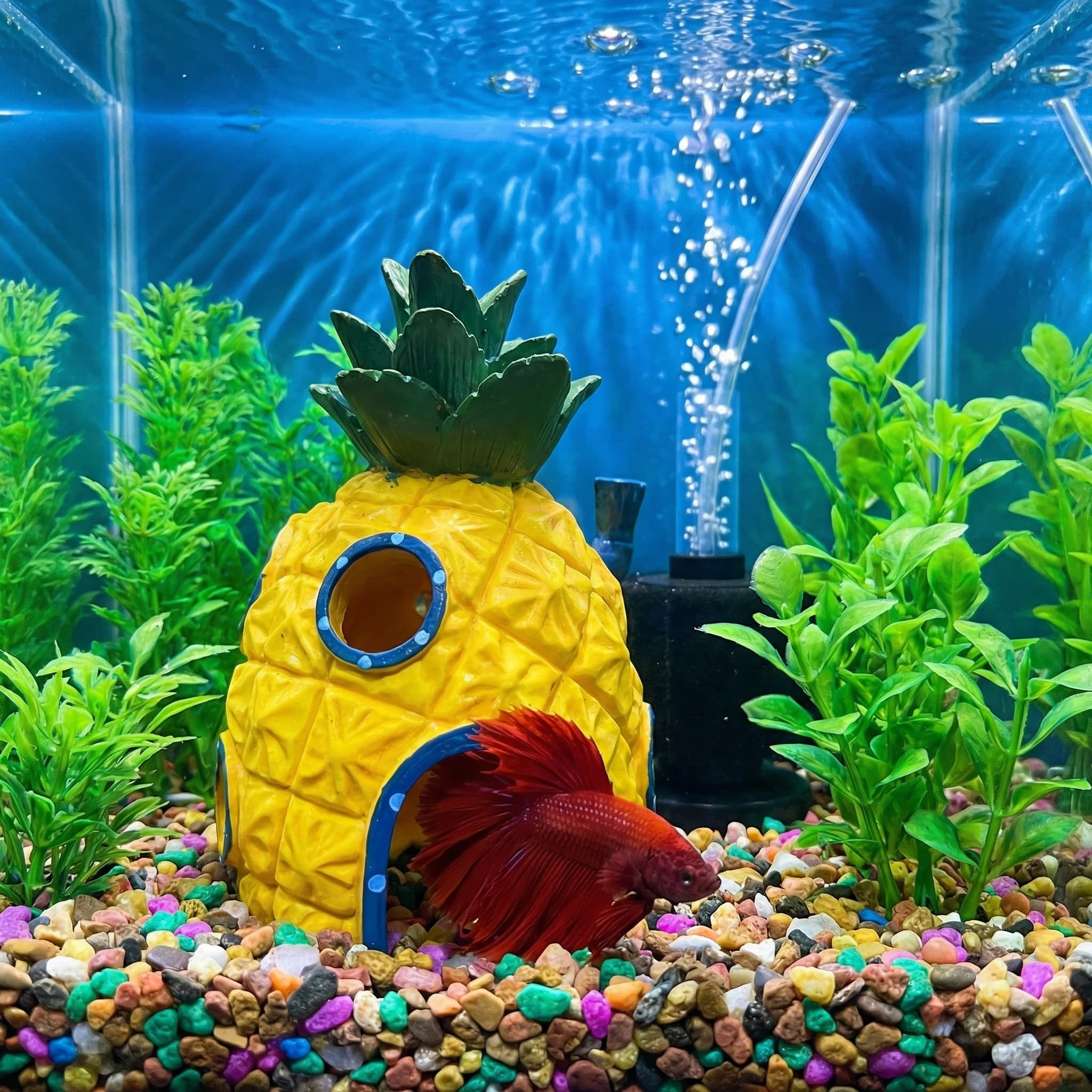 Pineapple House Aquarium Decor – обзор и цена Aquarium Fish Hide