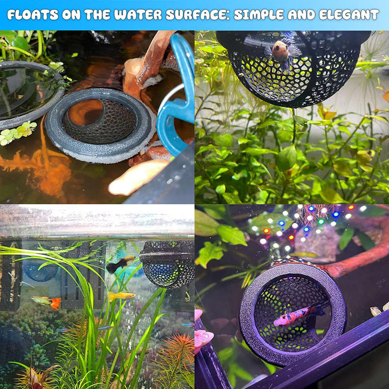 Ring FLoatinG Betta Hide Shrim – обзор и цена Aquarium Fish Hide