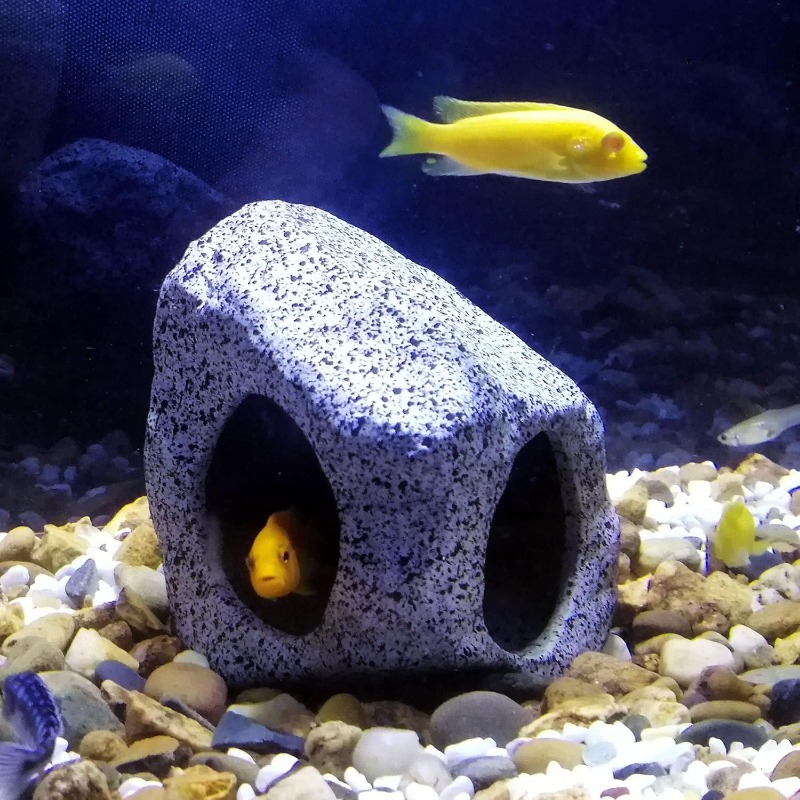 Fish Tank Cave Stone Landscapi – обзор и цена Aquarium Fish Hide