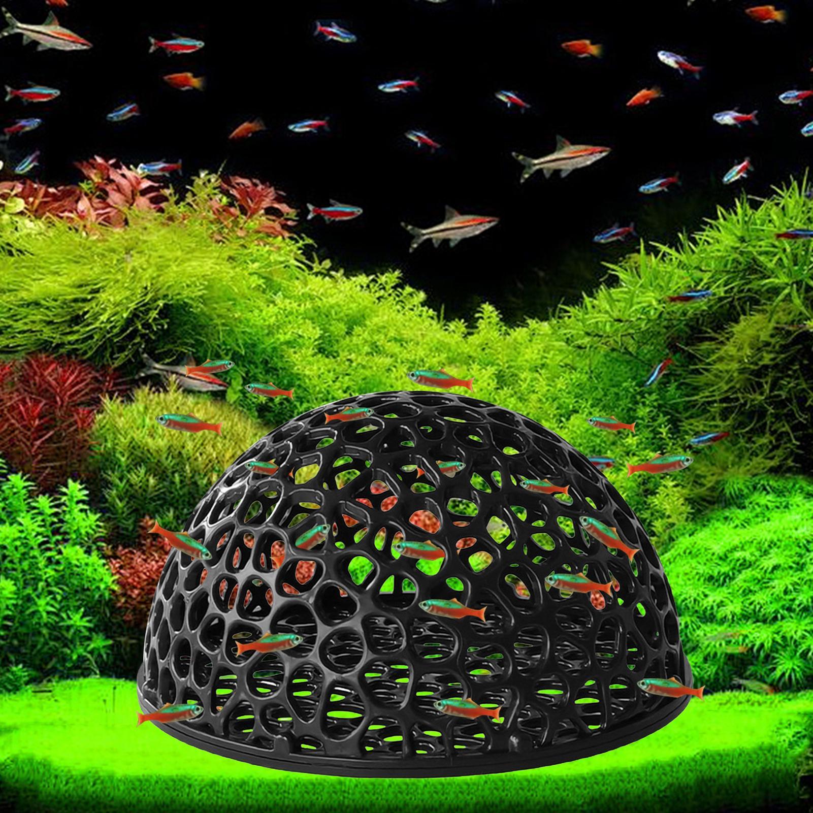 Aquarium shrimp house Cave Min – обзор и цена Aquarium Fish Hide