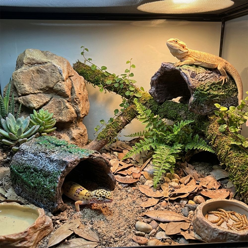Simulation Reptile Hideout Hol – обзор и цена Aquarium Fish Hide