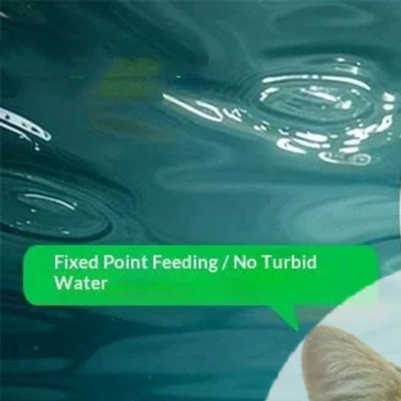 Popular Precise Fish Pacifier  – обзор и цена Aquarium Fish Popular