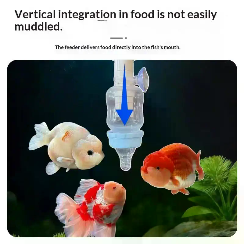 Popular Precise Fish Pacifier  – обзор и цена Aquarium Fish Popular
